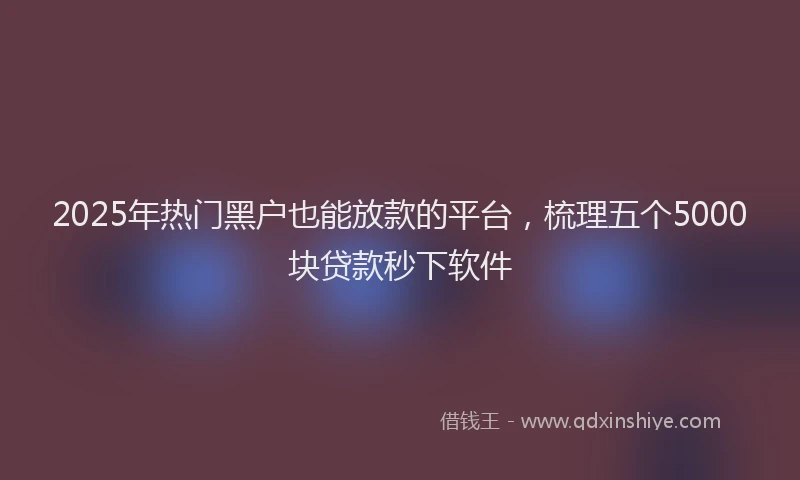 2025年热门黑户也能放款的平台，梳理五个5000块贷款秒下软件