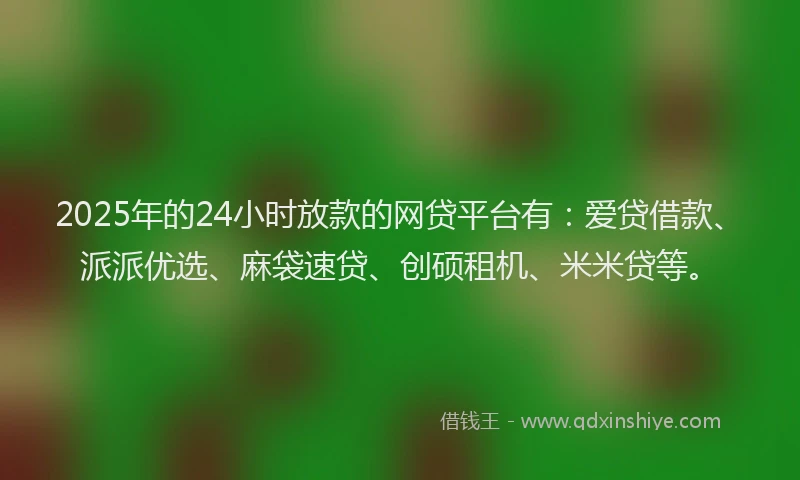 2025年的24小时放款的网贷平台有：爱贷借款、派派优选、麻袋速贷、创硕租机、米米贷等。