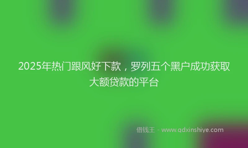 2025年热门跟风好下款，罗列五个黑户成功获取大额贷款的平台