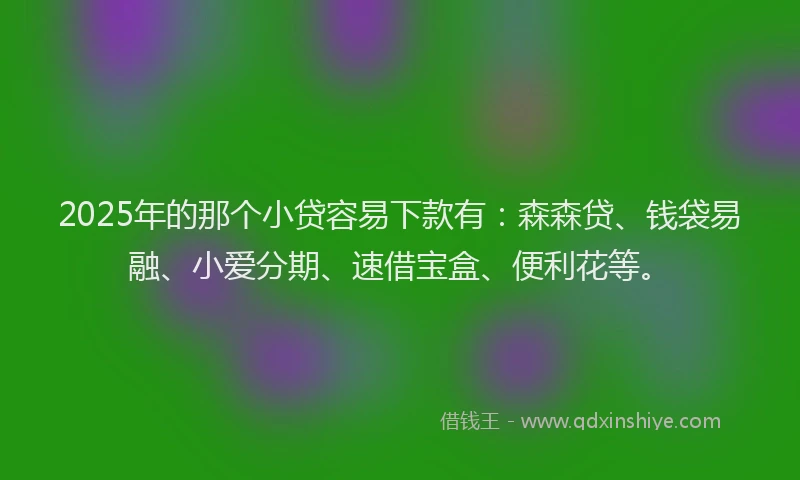2025年的那个小贷容易下款有：森森贷、钱袋易融、小爱分期、速借宝盒、便利花等。