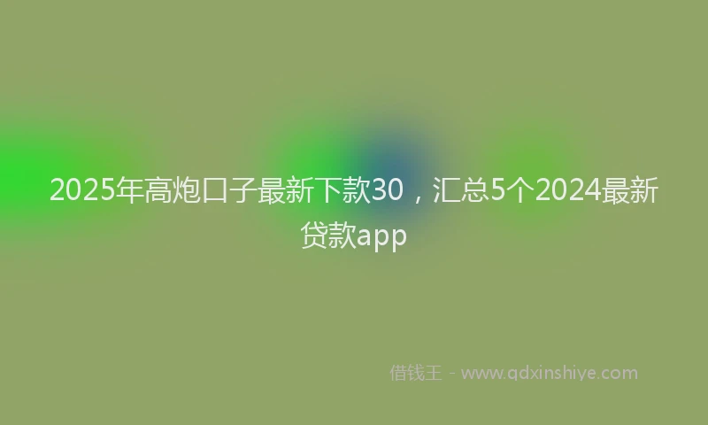 2025年高炮口子最新下款30，汇总5个2024最新贷款app