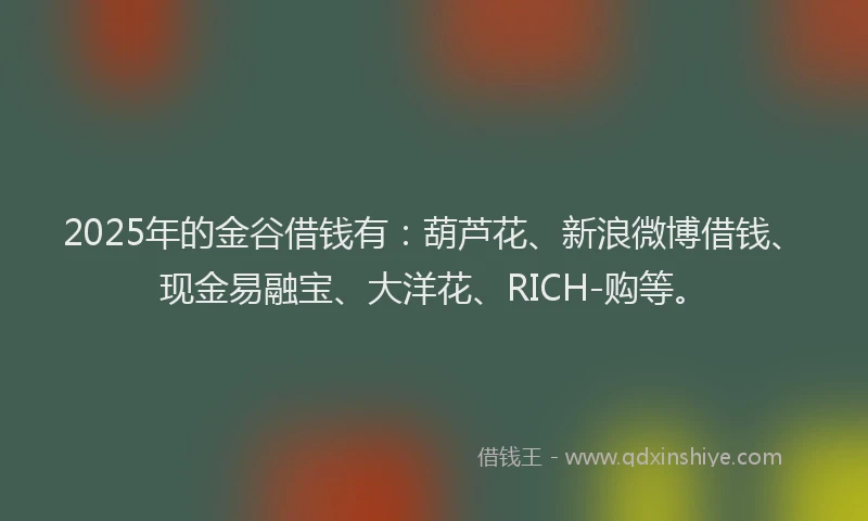 2025年的金谷借钱有：葫芦花、新浪微博借钱、现金易融宝、大洋花、RICH-购等。