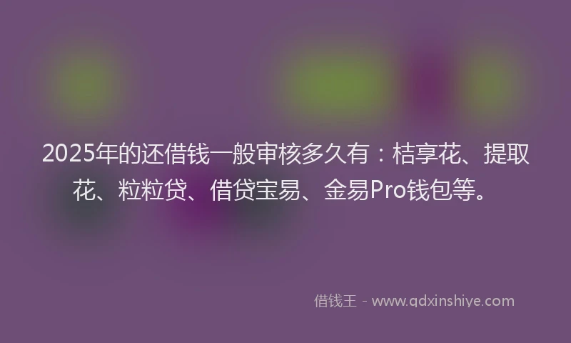 2025年的还借钱一般审核多久有：桔享花、提取花、粒粒贷、借贷宝易、金易Pro钱包等。