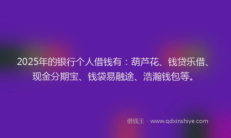 2025年的银行个人借钱有：葫芦花、钱贷乐借、现金分期宝、钱袋易融途、浩瀚钱包等。