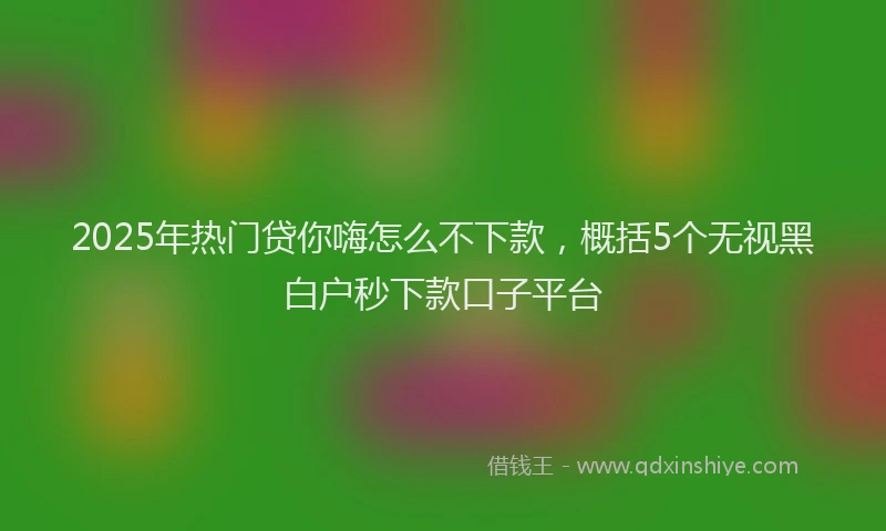 2025年热门贷你嗨怎么不下款，概括5个无视黑白户秒下款口子平台