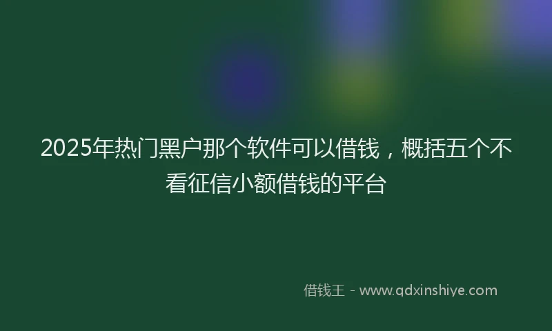 2025年热门黑户那个软件可以借钱，概括五个不看征信小额借钱的平台