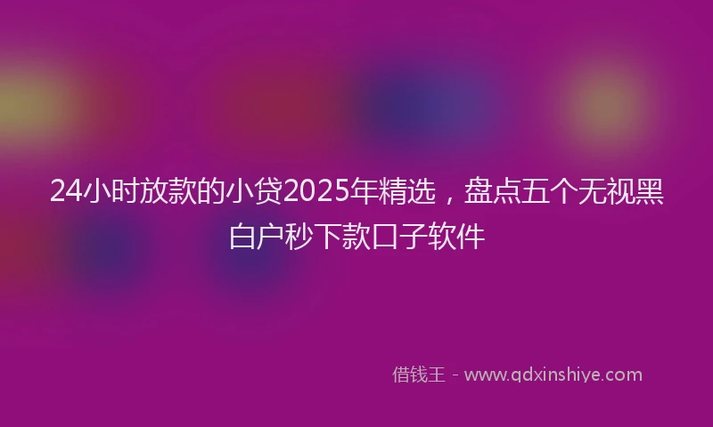 24小时放款的小贷2025年精选，盘点五个无视黑白户秒下款口子软件