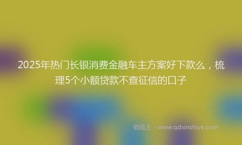 2025年热门长银消费金融车主方案好下款么，梳理5个小额贷款不查征信的口子