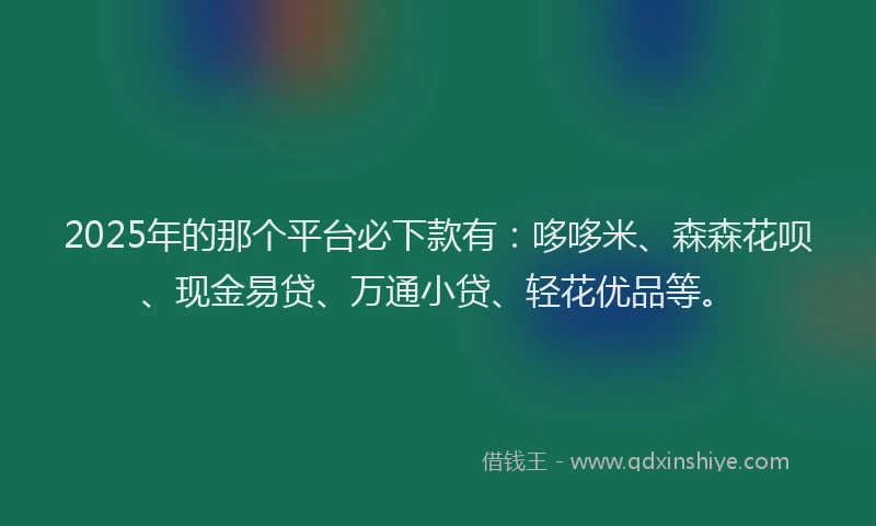 2025年的那个平台必下款有：哆哆米、森森花呗、现金易贷、万通小贷、轻花优品等。
