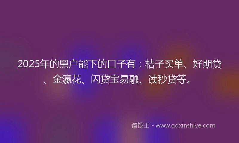 2025年的黑户能下的口子有：桔子买单、好期贷、金瀛花、闪贷宝易融、读秒贷等。