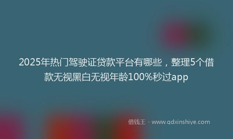2025年热门驾驶证贷款平台有哪些，整理5个借款无视黑白无视年龄100%秒过app