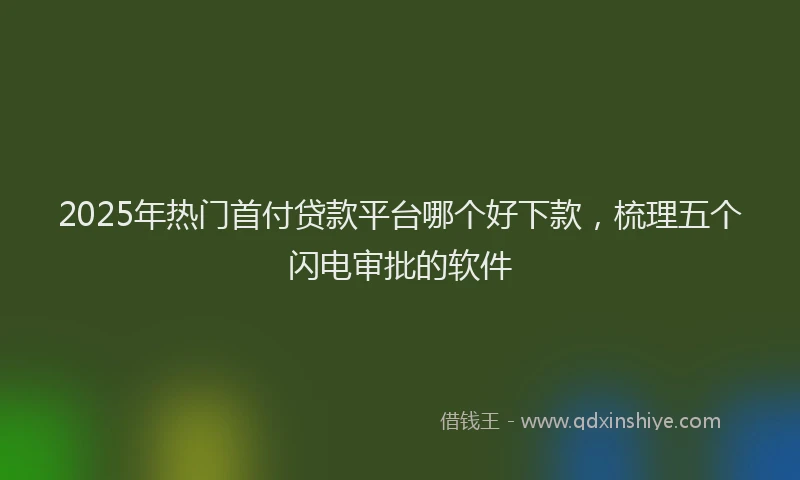 2025年热门首付贷款平台哪个好下款，梳理五个闪电审批的软件