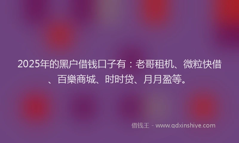 2025年的黑户借钱口子有：老哥租机、微粒快借、百樂商城、时时贷、月月盈等。