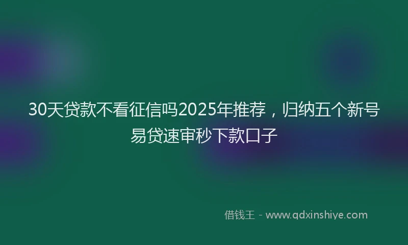 30天贷款不看征信吗2025年推荐，归纳五个新号易贷速审秒下款口子
