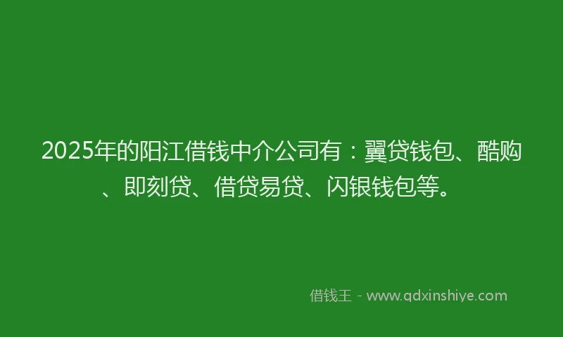 2025年的阳江借钱中介公司有：翼贷钱包、酷购、即刻贷、借贷易贷、闪银钱包等。