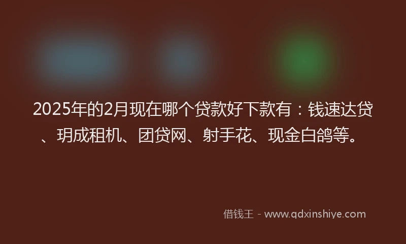 2025年的2月现在哪个贷款好下款有：钱速达贷、玥成租机、团贷网、射手花、现金白鸽等。