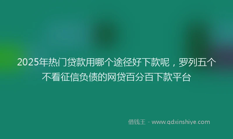 2025年热门贷款用哪个途径好下款呢，罗列五个不看征信负债的网贷百分百下款平台