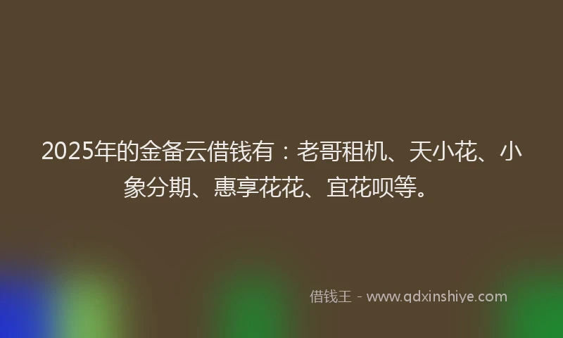 2025年的金备云借钱有：老哥租机、天小花、小象分期、惠享花花、宜花呗等。