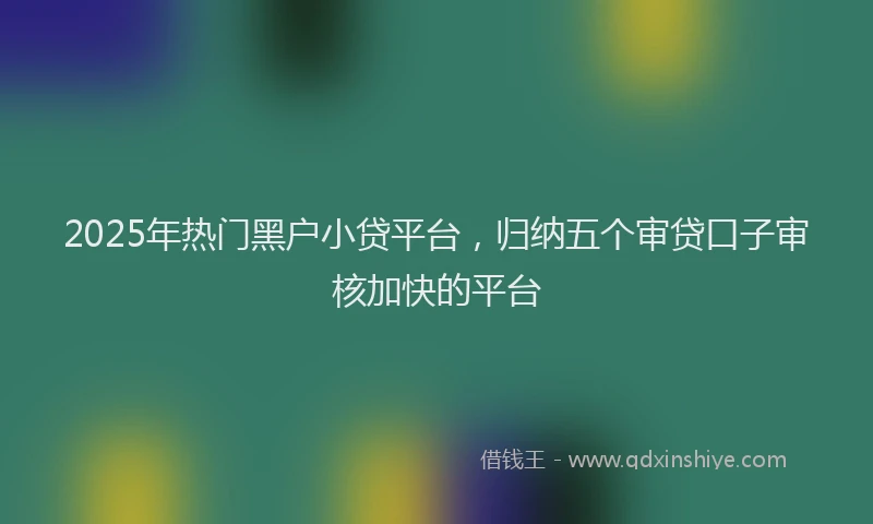 2025年热门黑户小贷平台，归纳五个审贷口子审核加快的平台