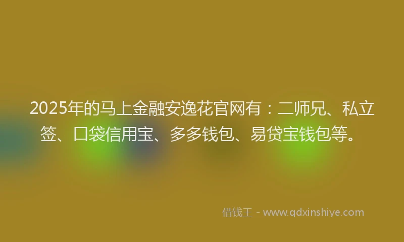 2025年的马上金融安逸花官网有：二师兄、私立签、口袋信用宝、多多钱包、易贷宝钱包等。