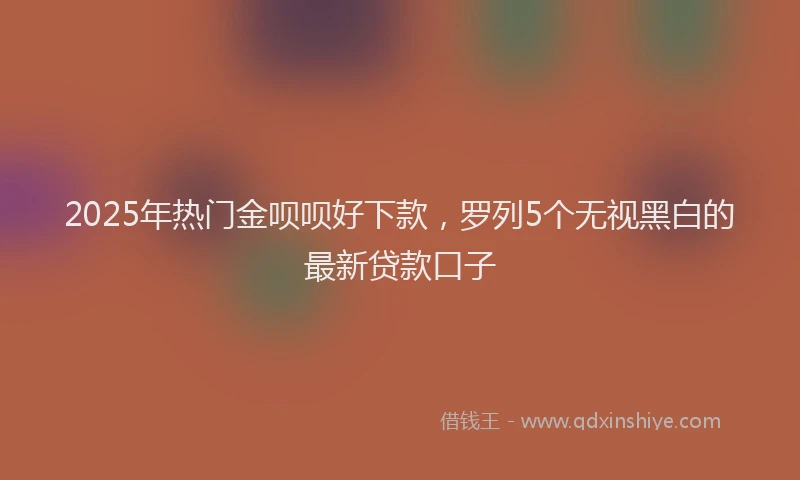 2025年热门金呗呗好下款，罗列5个无视黑白的最新贷款口子