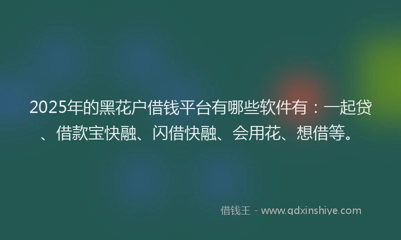 2025年的黑花户借钱平台有哪些软件有：一起贷、借款宝快融、闪借快融、会用花、想借等。