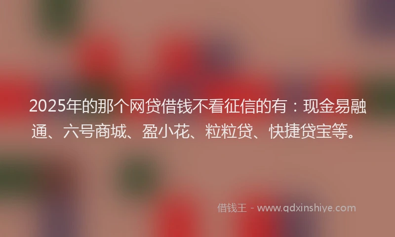 2025年的那个网贷借钱不看征信的有：现金易融通、六号商城、盈小花、粒粒贷、快捷贷宝等。