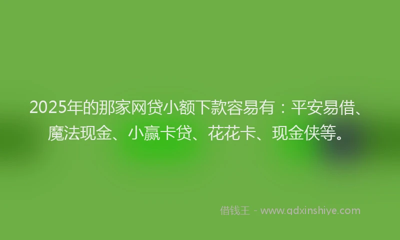 2025年的那家网贷小额下款容易有：平安易借、魔法现金、小赢卡贷、花花卡、现金侠等。