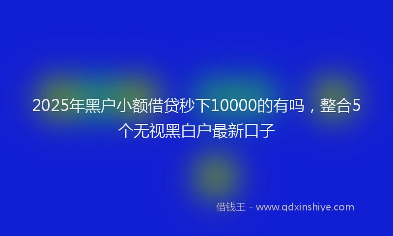 2025年黑户小额借贷秒下10000的有吗，整合5个无视黑白户最新口子