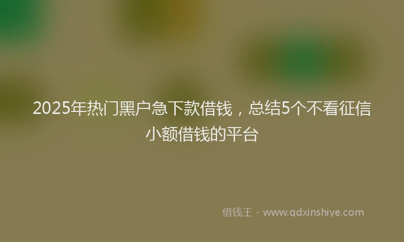 2025年热门黑户急下款借钱，总结5个不看征信小额借钱的平台
