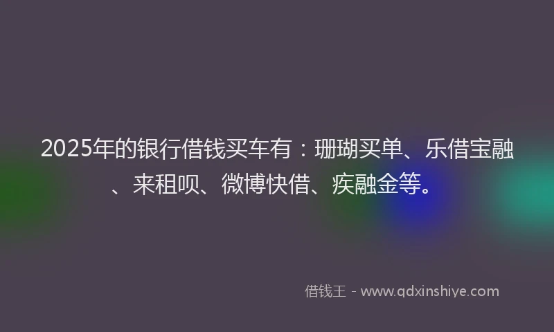 2025年的银行借钱买车有：珊瑚买单、乐借宝融、来租呗、微博快借、疾融金等。