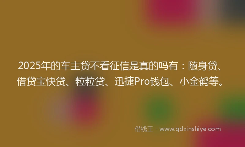 2025年的车主贷不看征信是真的吗有：随身贷、借贷宝快贷、粒粒贷、迅捷Pro钱包、小金鹤等。