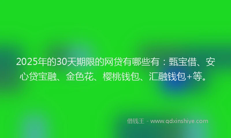 2025年的30天期限的网贷有哪些有：甄宝借、安心贷宝融、金色花、樱桃钱包、汇融钱包+等。