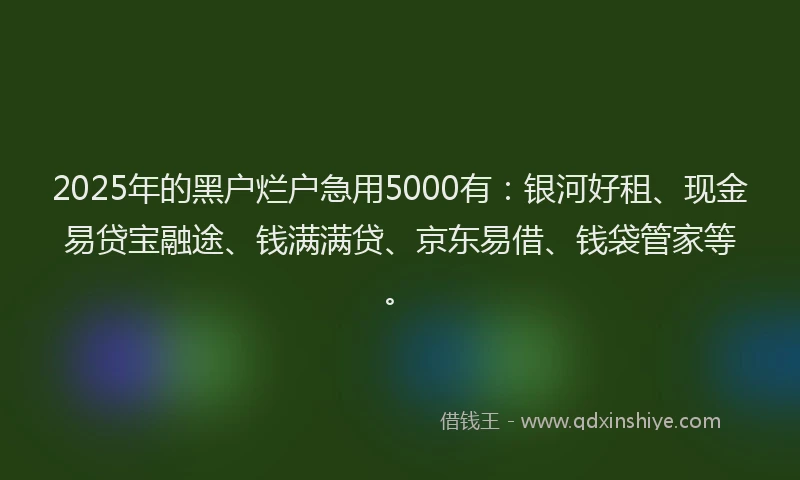 2025年的黑户烂户急用5000有：银河好租、现金易贷宝融途、钱满满贷、京东易借、钱袋管家等。