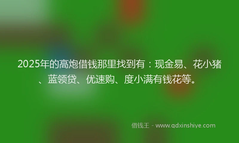 2025年的高炮借钱那里找到有：现金易、花小猪、蓝领贷、优速购、度小满有钱花等。