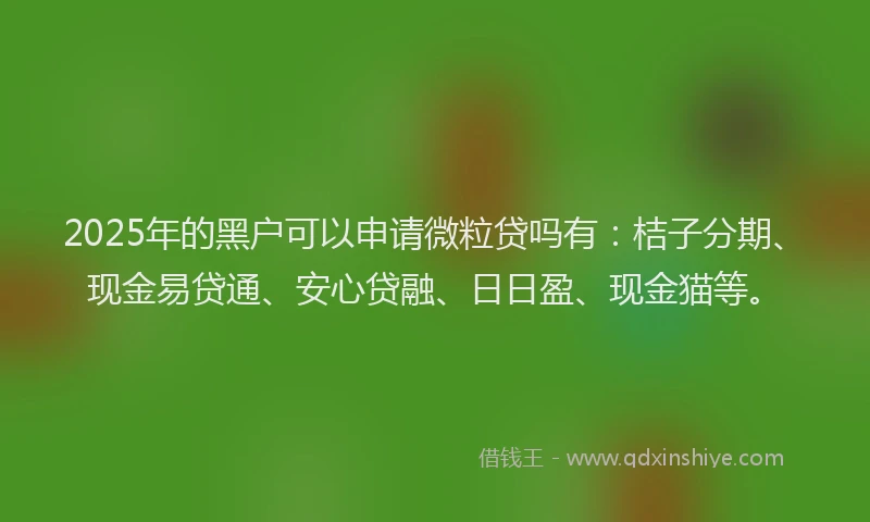 2025年的黑户可以申请微粒贷吗有：桔子分期、现金易贷通、安心贷融、日日盈、现金猫等。