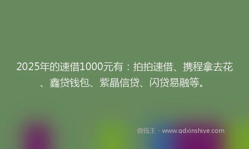 2025年的速借1000元有：拍拍速借、携程拿去花、鑫贷钱包、紫晶信贷、闪贷易融等。