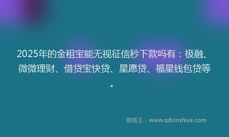 2025年的金租宝能无视征信秒下款吗有：极融、微微理财、借贷宝快贷、星愿贷、福星钱包贷等。