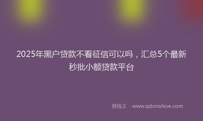 2025年黑户贷款不看征信可以吗，汇总5个最新秒批小额贷款平台
