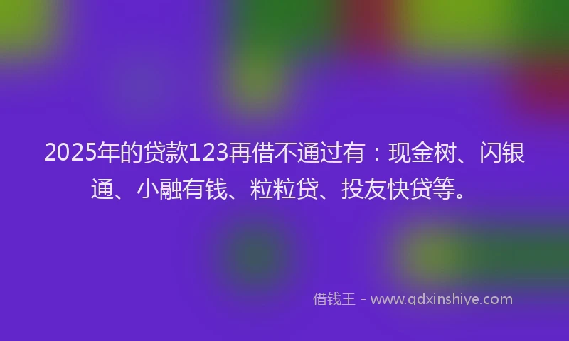 2025年的贷款123再借不通过有：现金树、闪银通、小融有钱、粒粒贷、投友快贷等。
