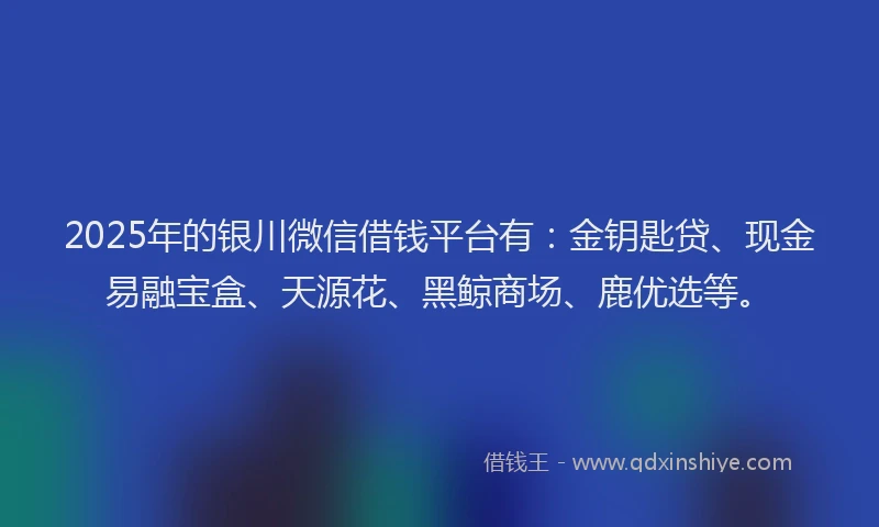 2025年的银川微信借钱平台有：金钥匙贷、现金易融宝盒、天源花、黑鲸商场、鹿优选等。