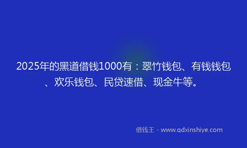 2025年的黑道借钱1000有：翠竹钱包、有钱钱包、欢乐钱包、民贷速借、现金牛等。