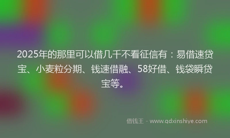 2025年的那里可以借几千不看征信有：易借速贷宝、小麦粒分期、钱速借融、58好借、钱袋瞬贷宝等。