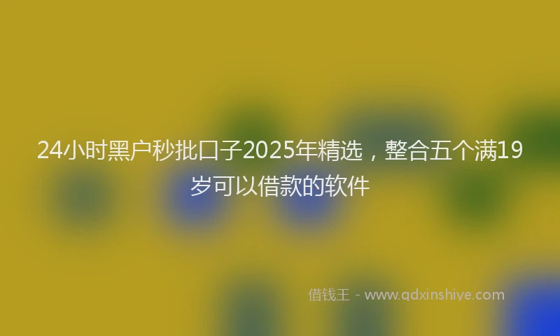 24小时黑户秒批口子2025年精选，整合五个满19岁可以借款的软件