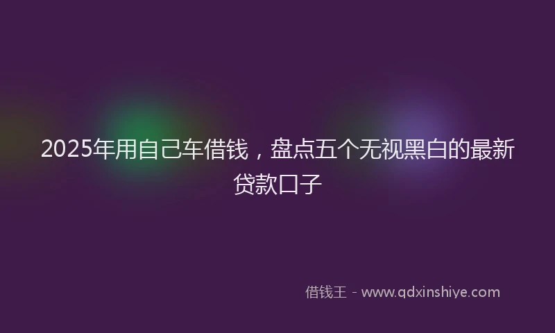 2025年用自己车借钱，盘点五个无视黑白的最新贷款口子