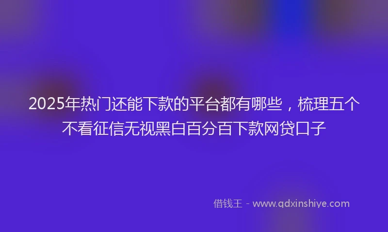 2025年热门还能下款的平台都有哪些，梳理五个不看征信无视黑白百分百下款网贷口子