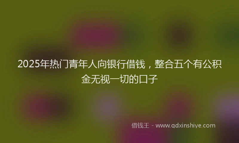 2025年热门青年人向银行借钱，整合五个有公积金无视一切的口子