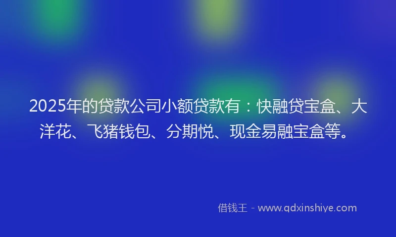2025年的贷款公司小额贷款有：快融贷宝盒、大洋花、飞猪钱包、分期悦、现金易融宝盒等。