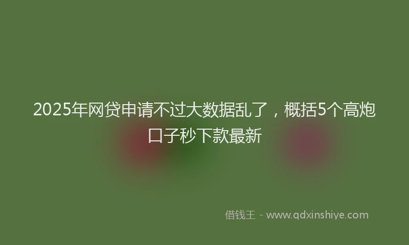 2025年网贷申请不过大数据乱了，概括5个高炮口子秒下款最新