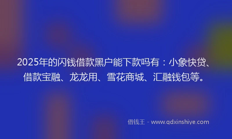 2025年的闪钱借款黑户能下款吗有：小象快贷、借款宝融、龙龙用、雪花商城、汇融钱包等。
